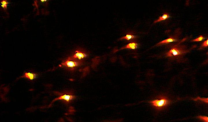 Filmstill: Slet 1988